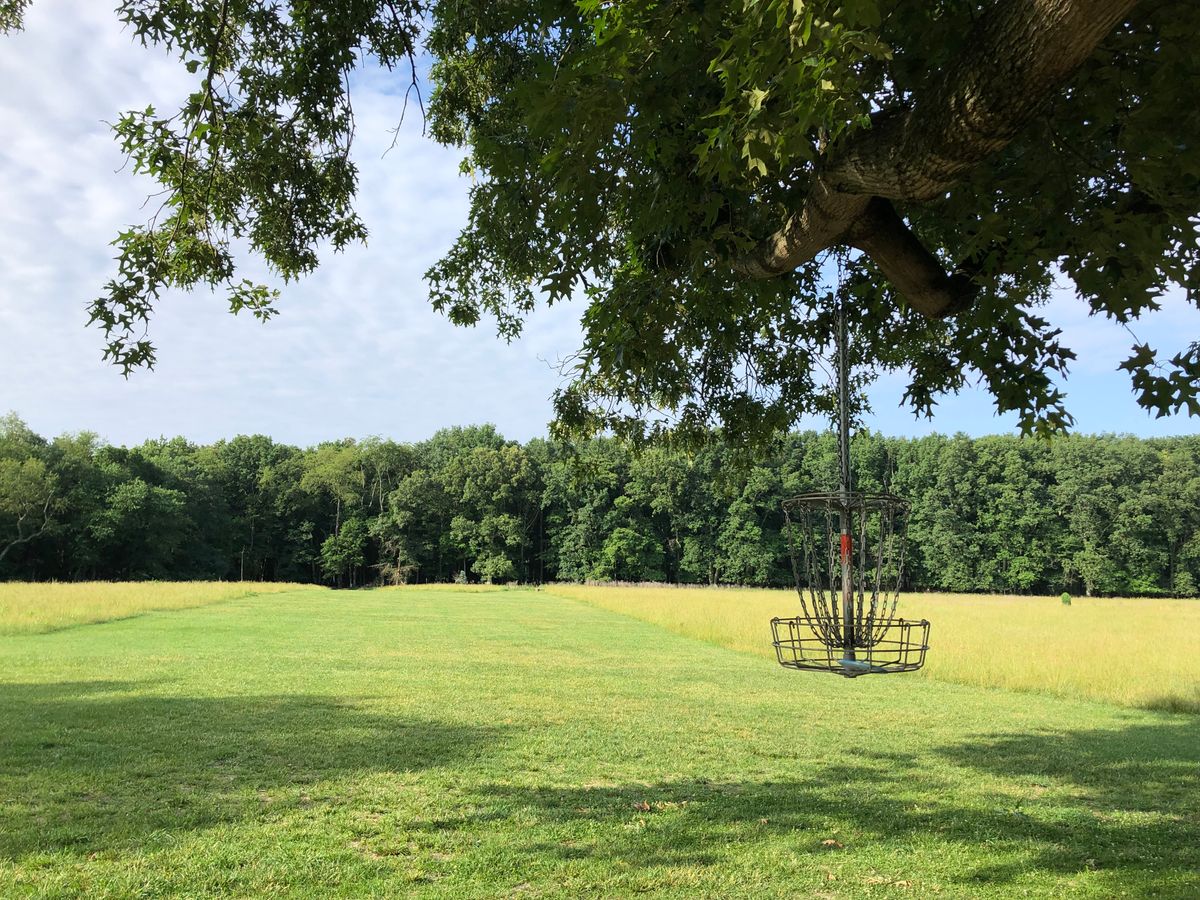 Looking back at the fairway on 16