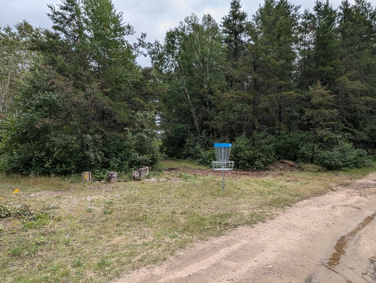 Hole 1 Basket, all cleaned up
