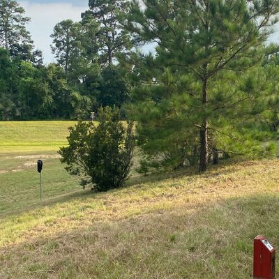Hole 2 view 