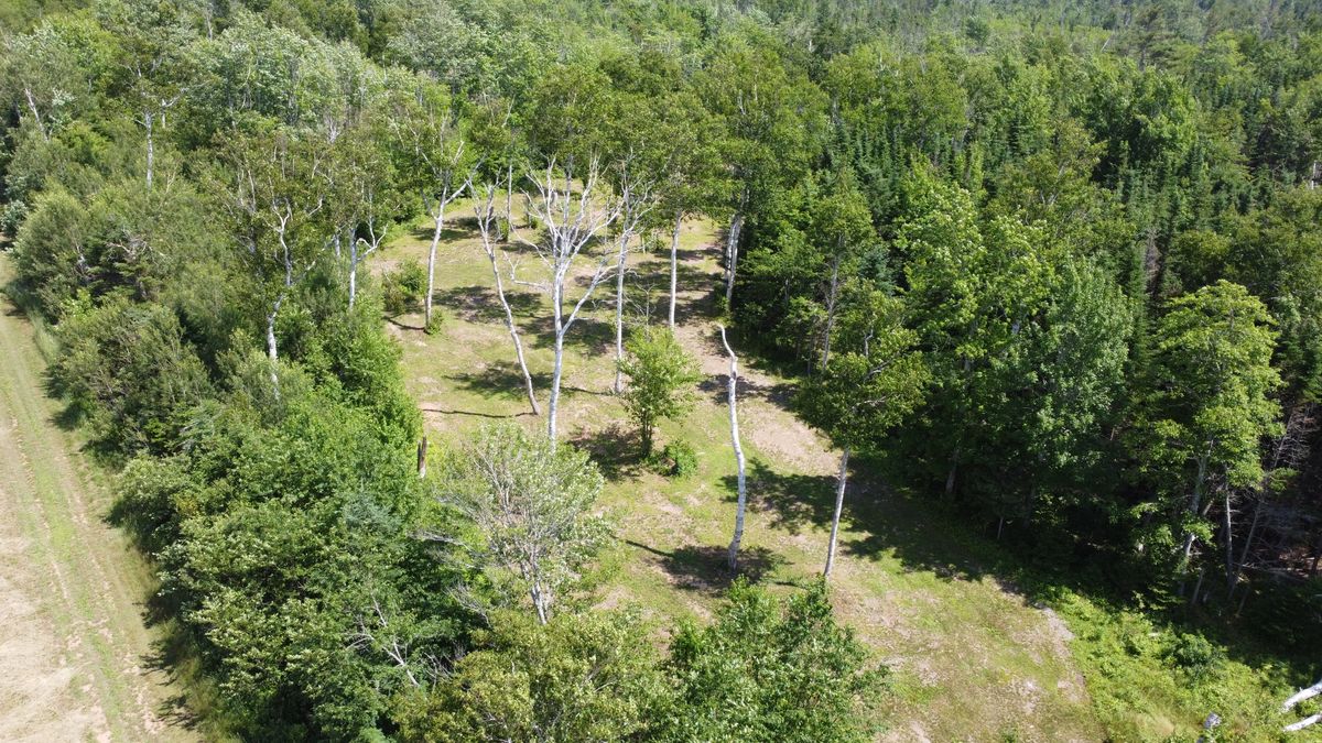 Hole 10 - overhead view of first third of fairway.
