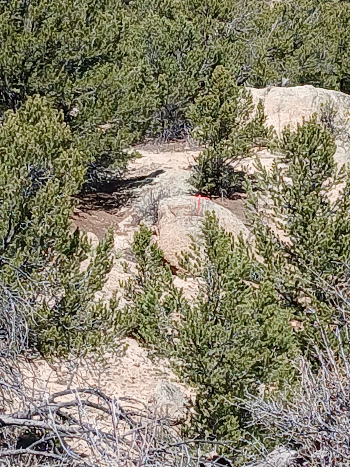 Basket of #14 as seen from #1