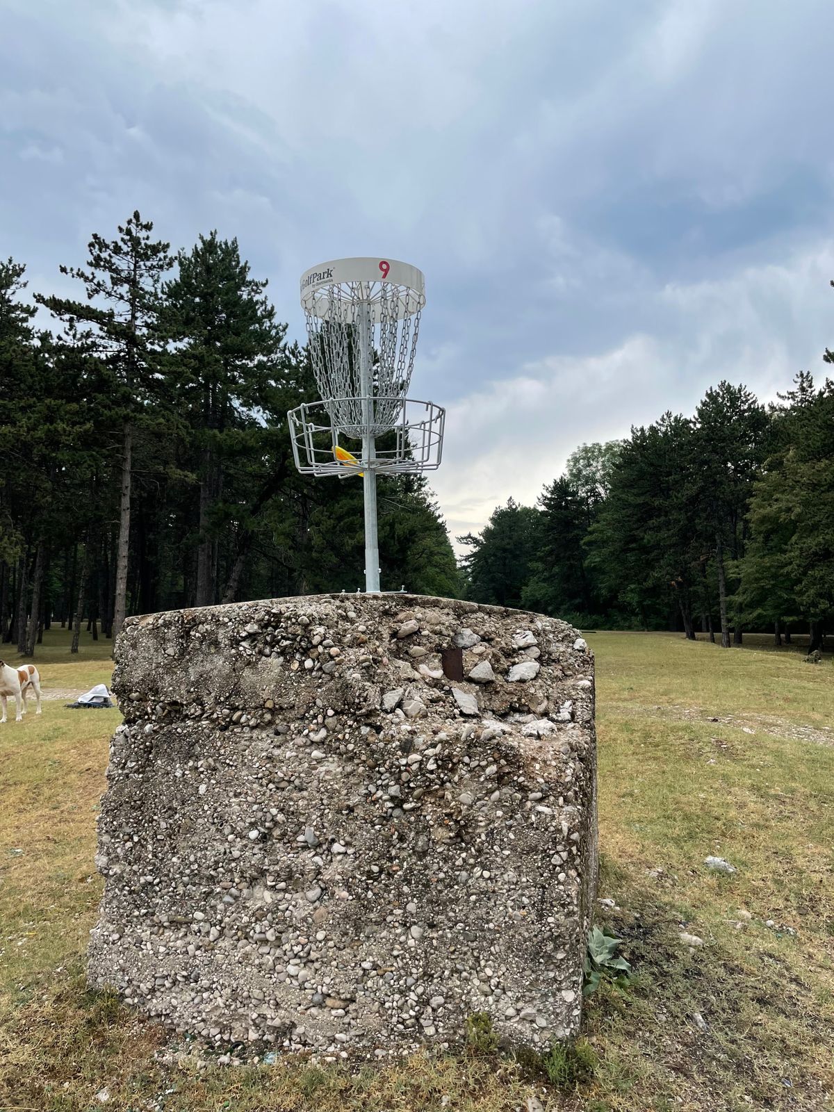 Hole 9 basket facing tee