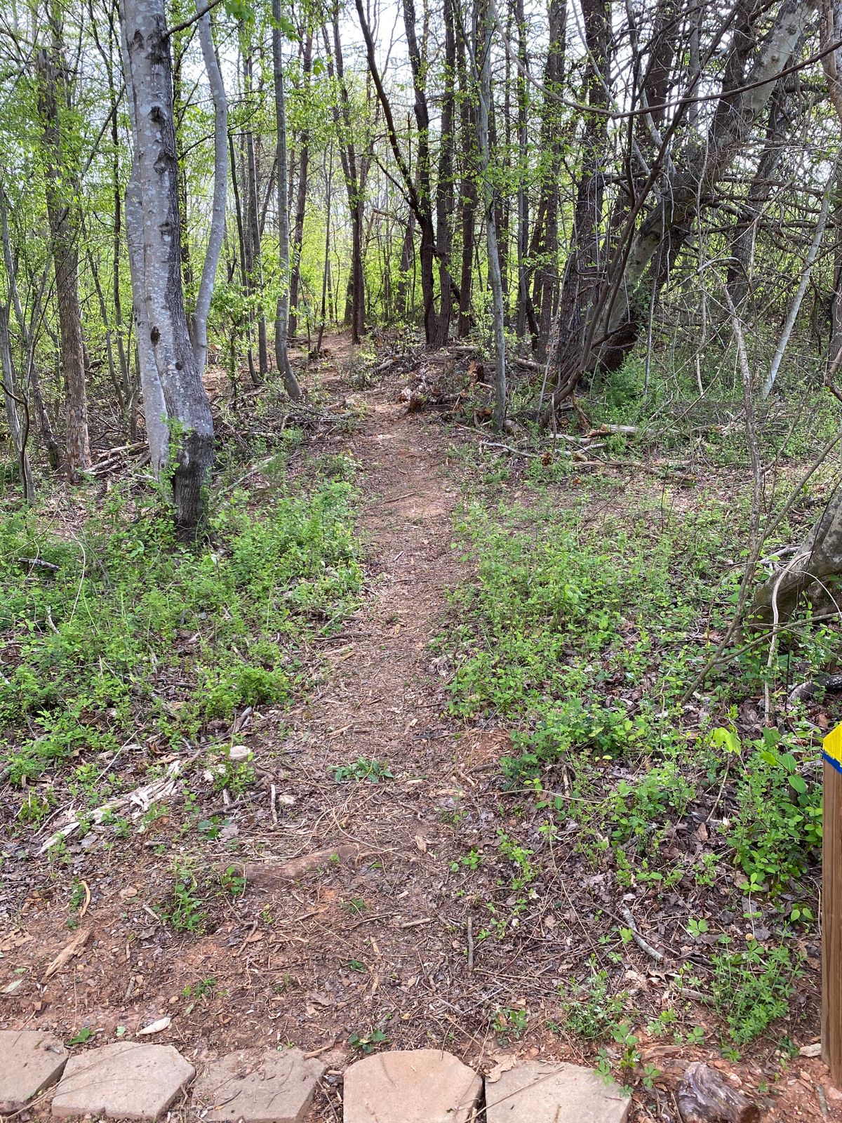 Hole two. Short, uphill, tricky.