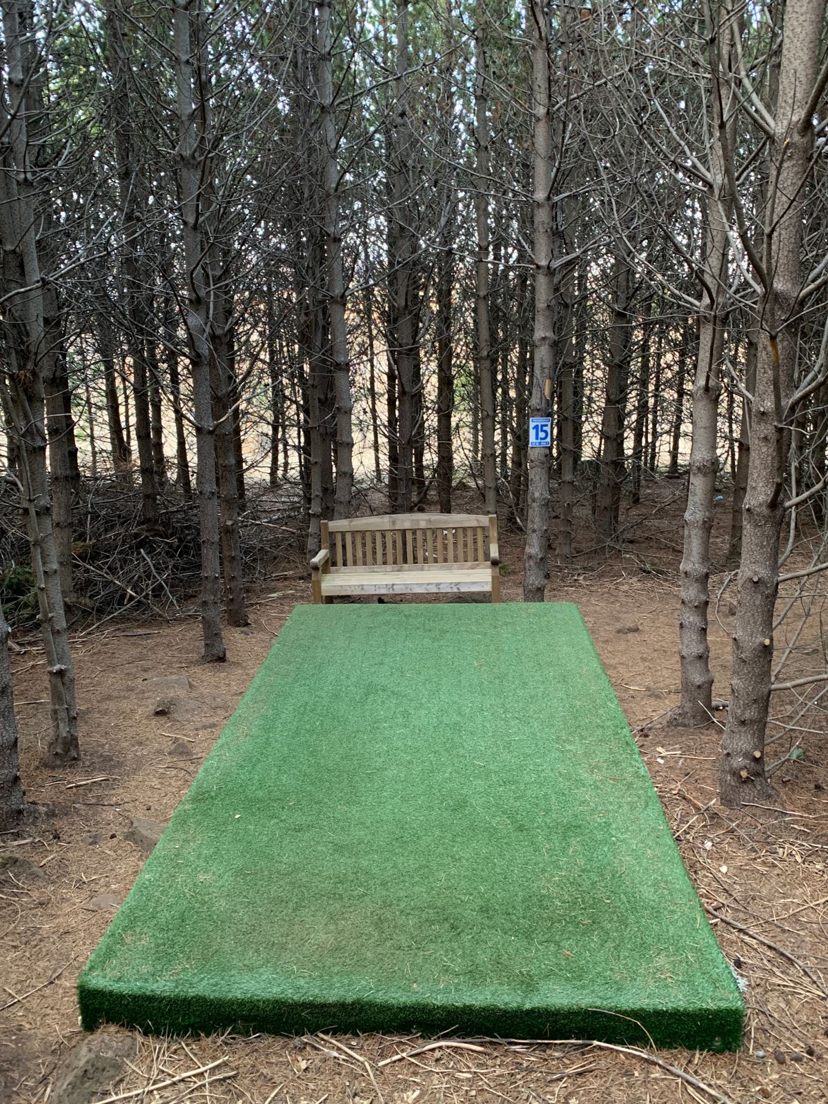 Have a seat! Teepad hole 15