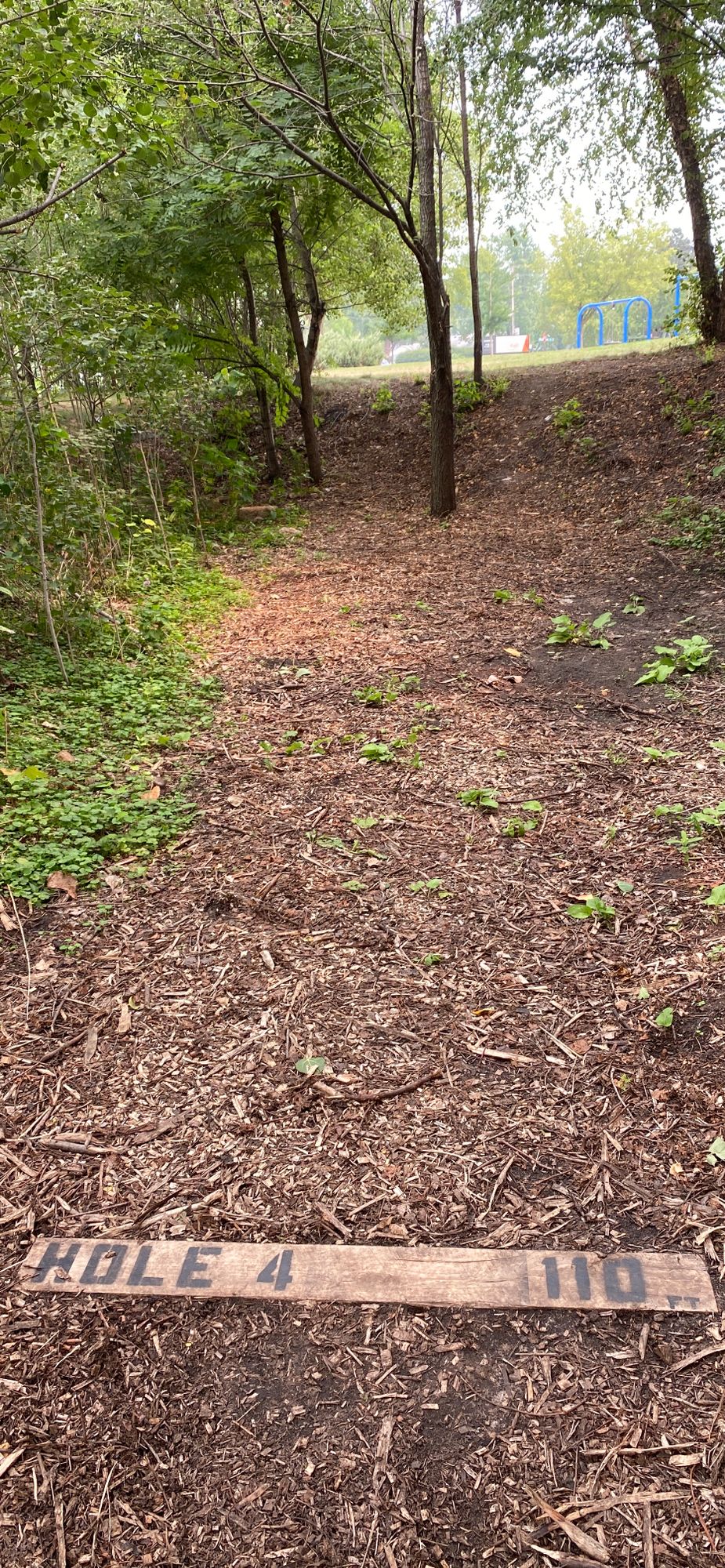 Hole 4 tee