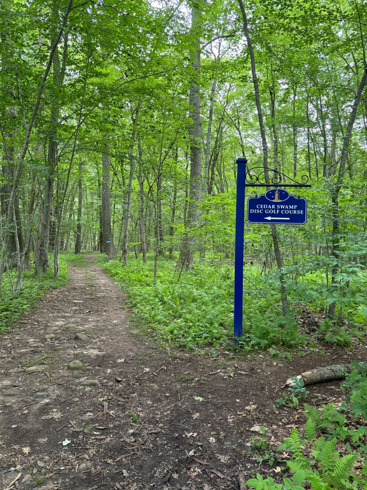 Course entry