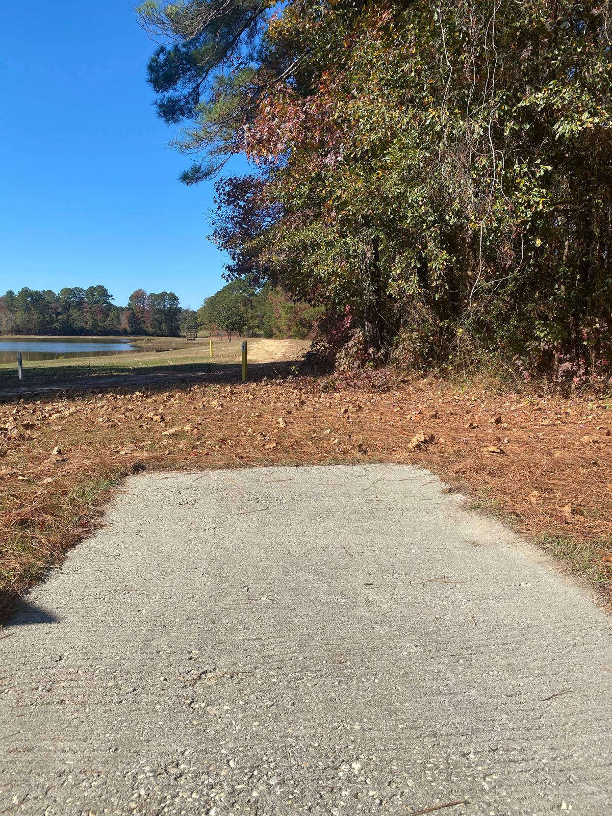 Hole 7 Green Tee