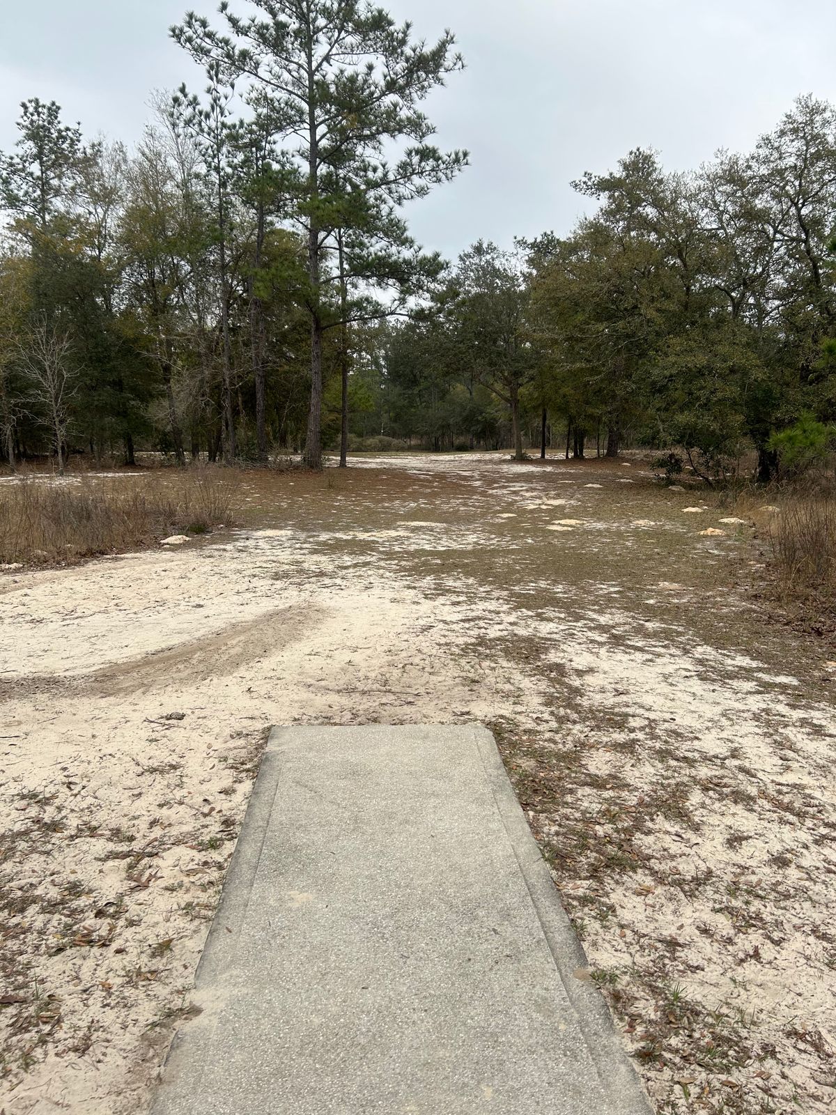 #21 Short Tee