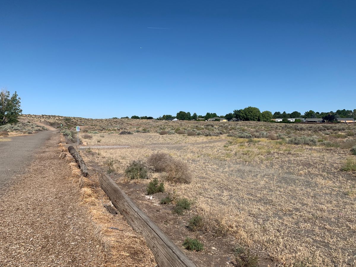 View of the course area. Taken from near Hole 1.