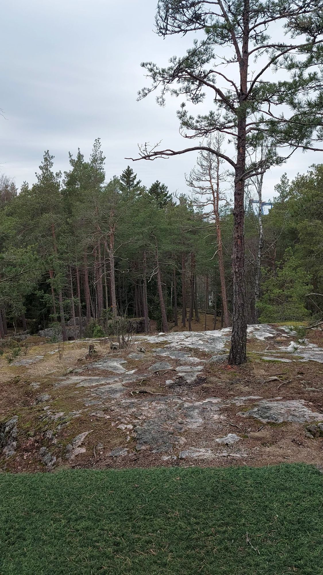 Väylä 10