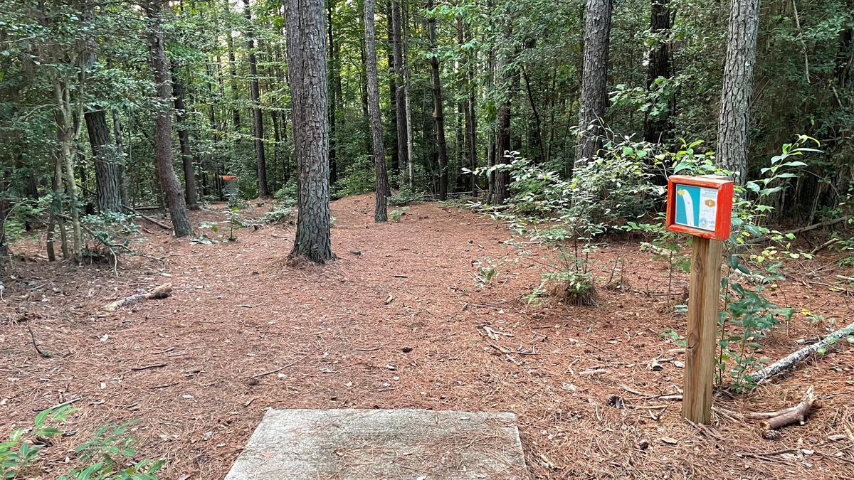 Hole 6