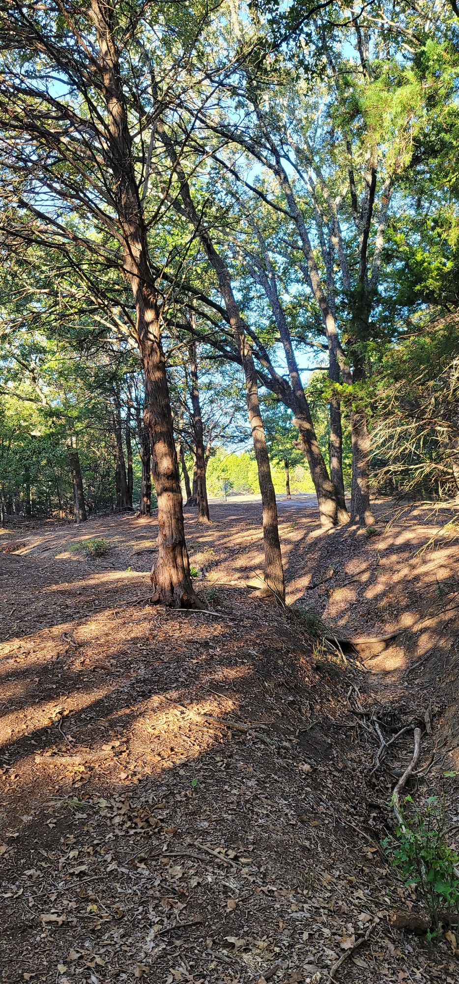 Hole 4 fairway