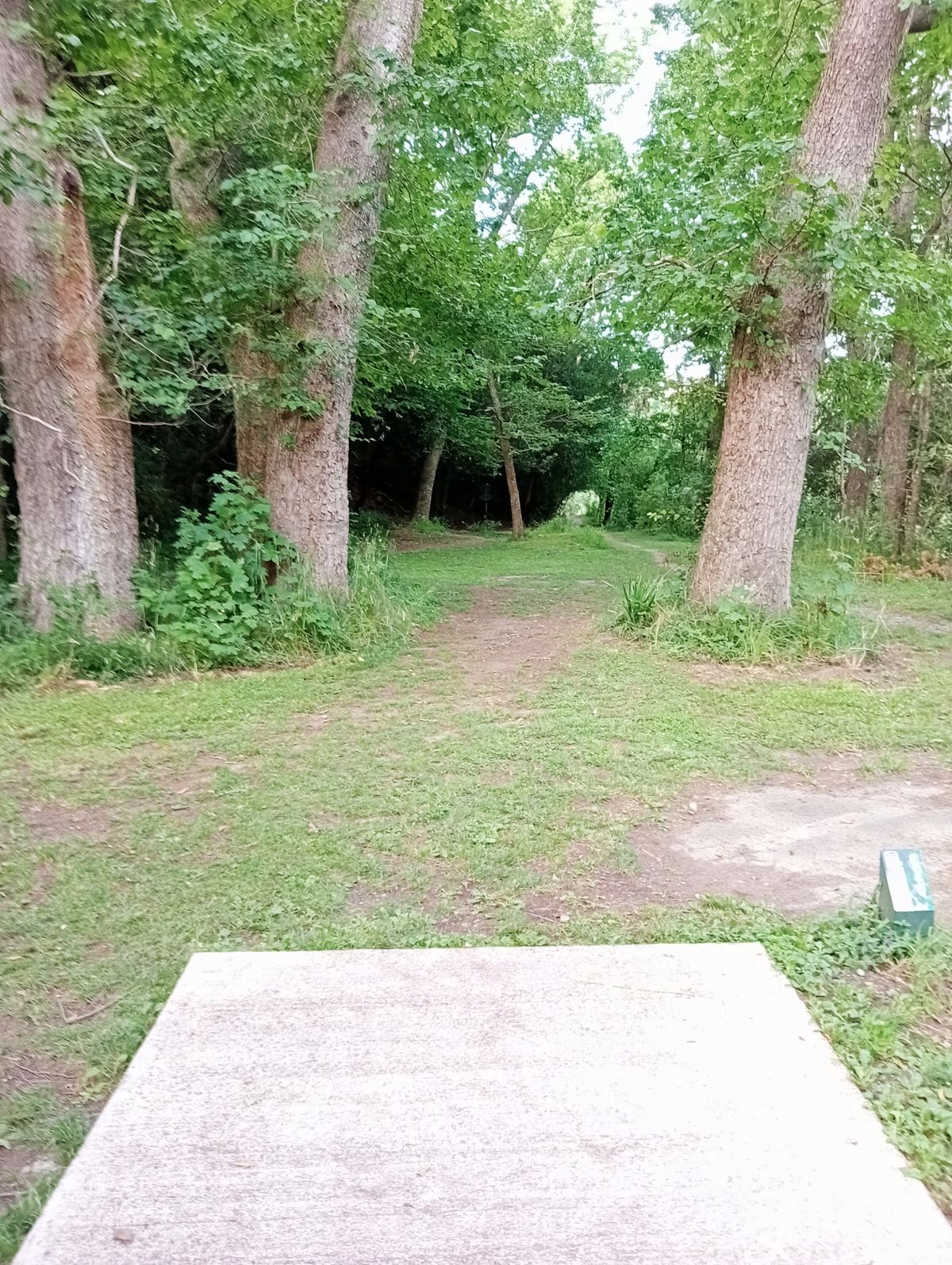 Hole 11