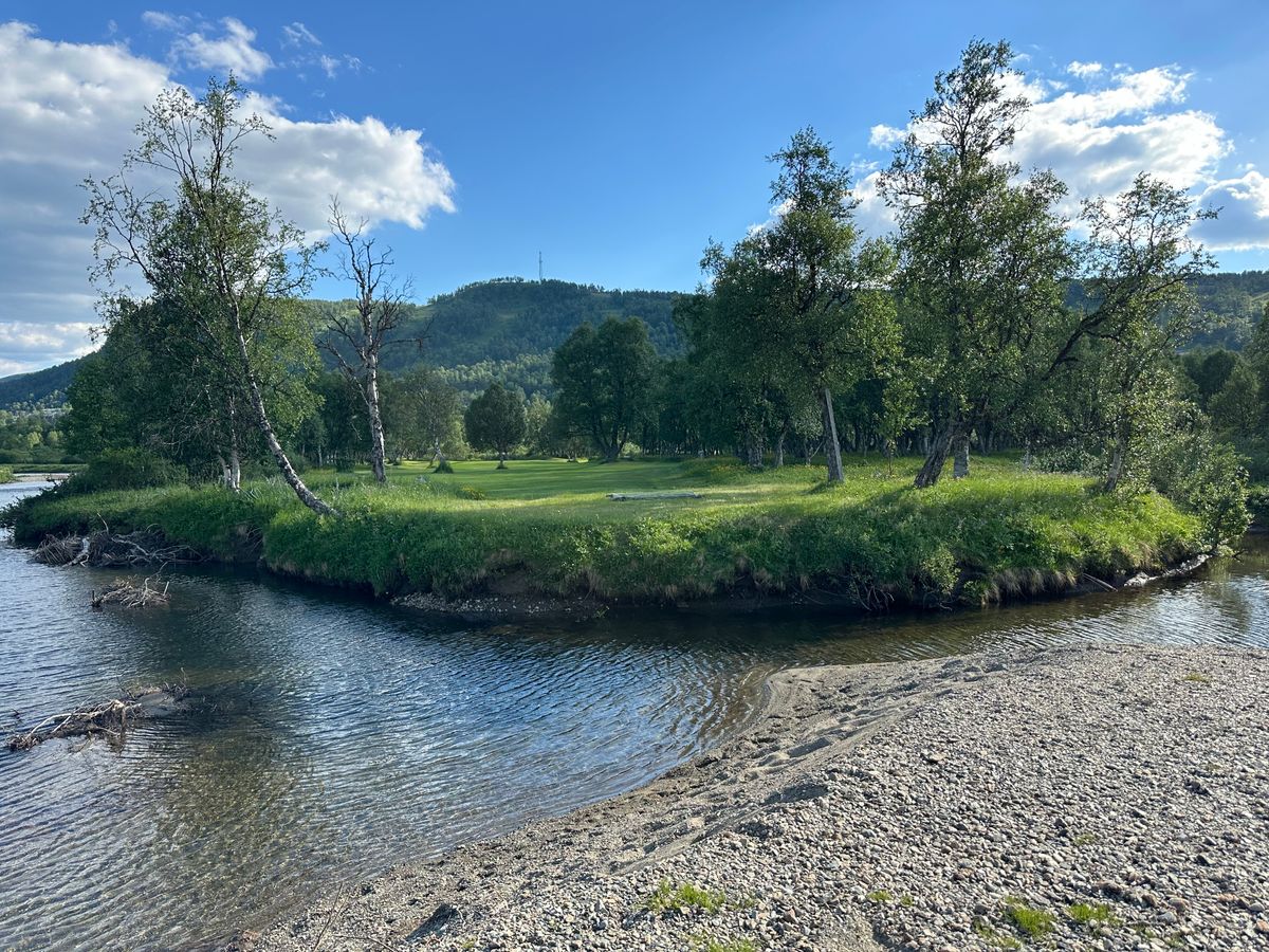 Tee 14
