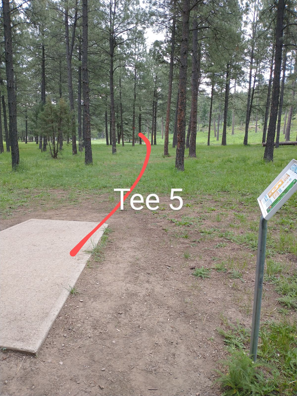 Tee 5, has mando