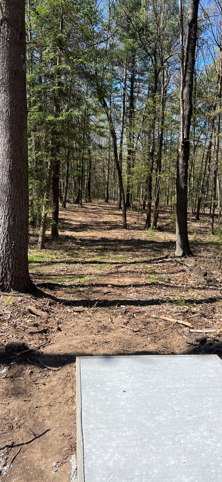 Hole 7