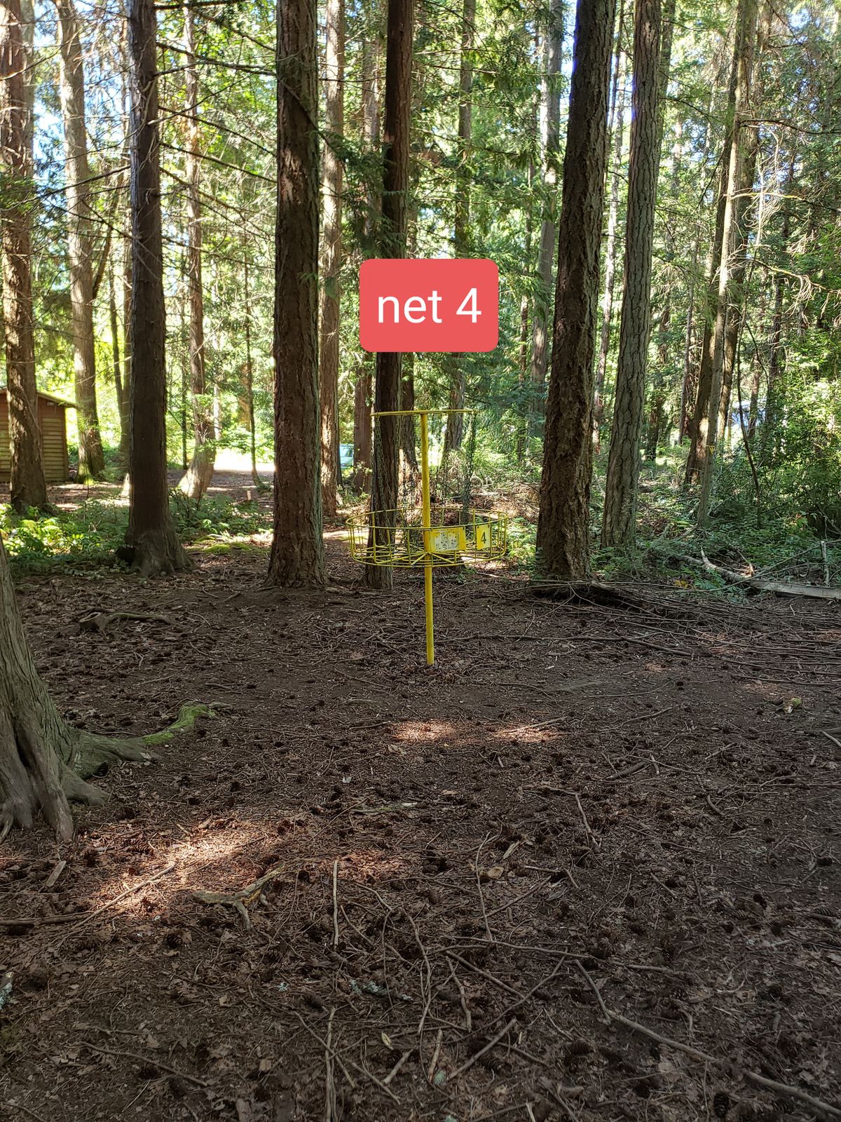 Net 4