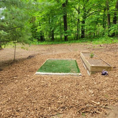 Hole 4 from in front of the pad
