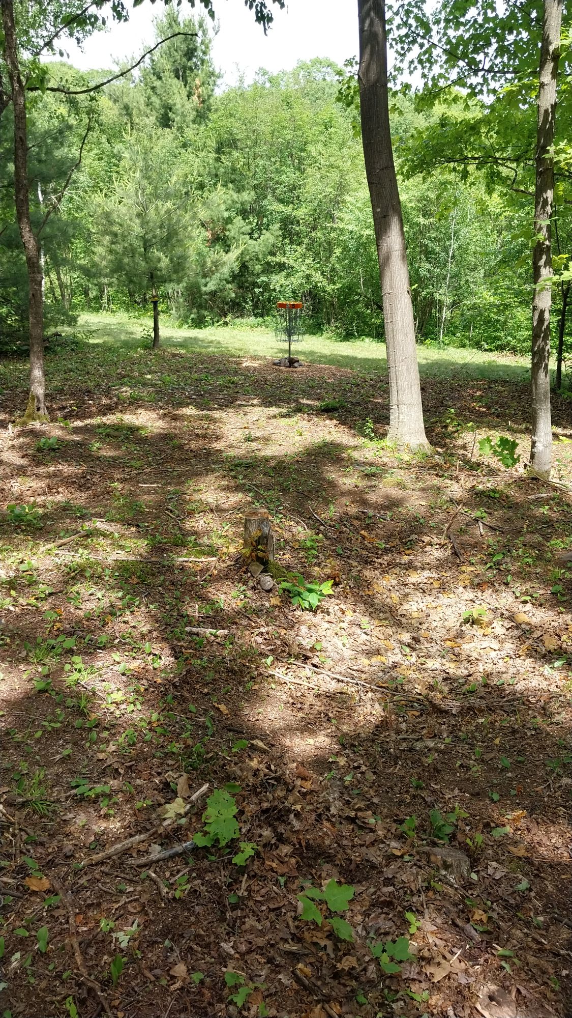 Hole 5 long