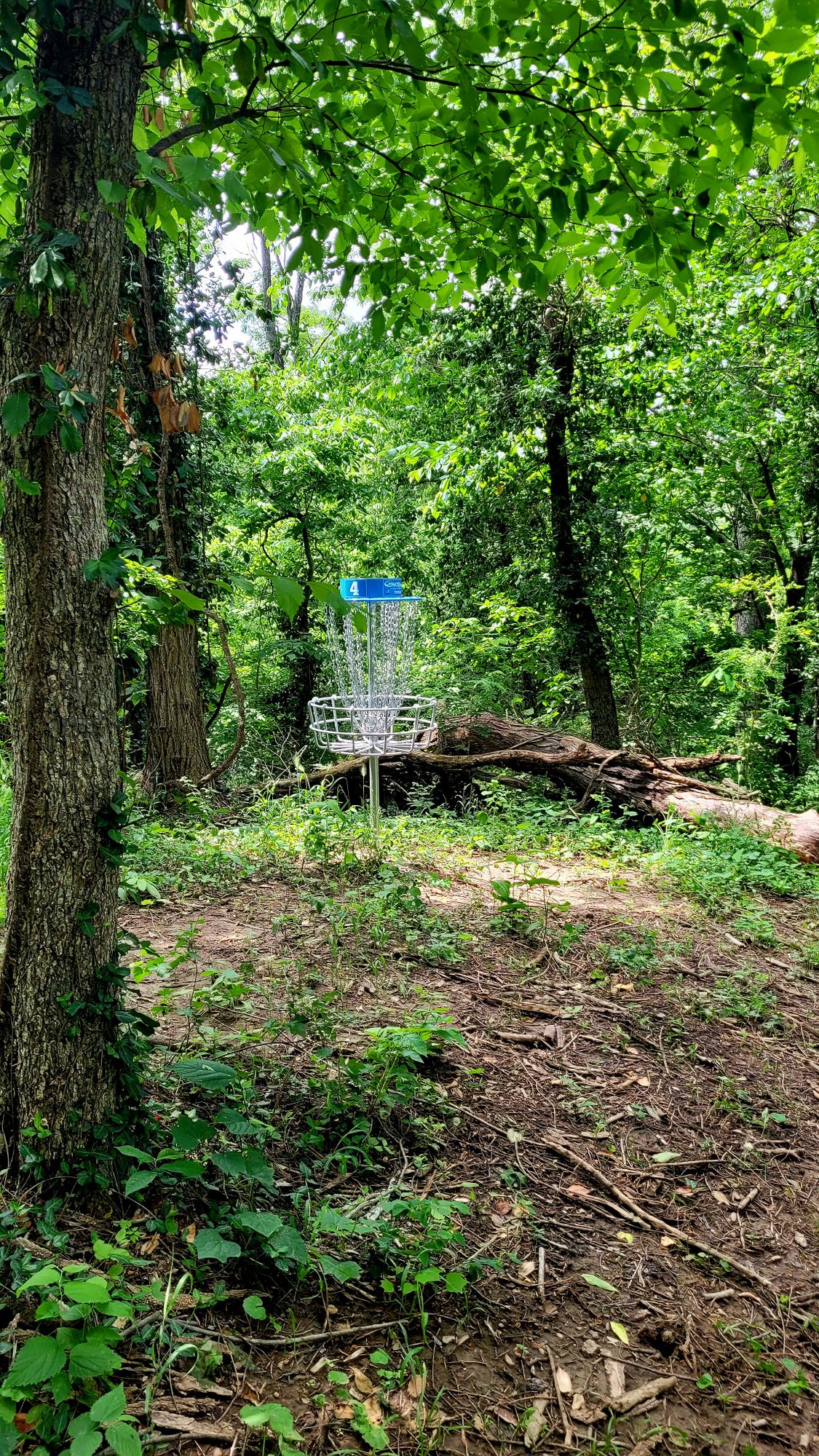 Hole 4 
Approach