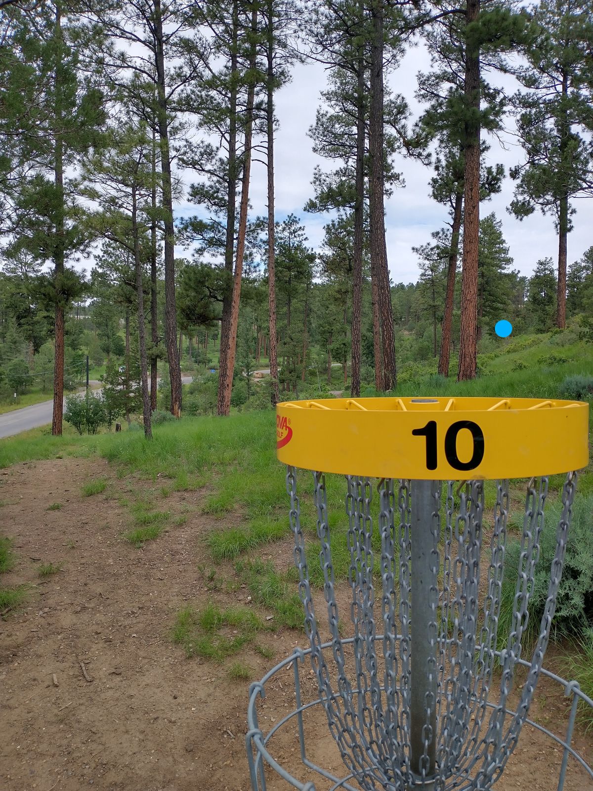 Basket 10