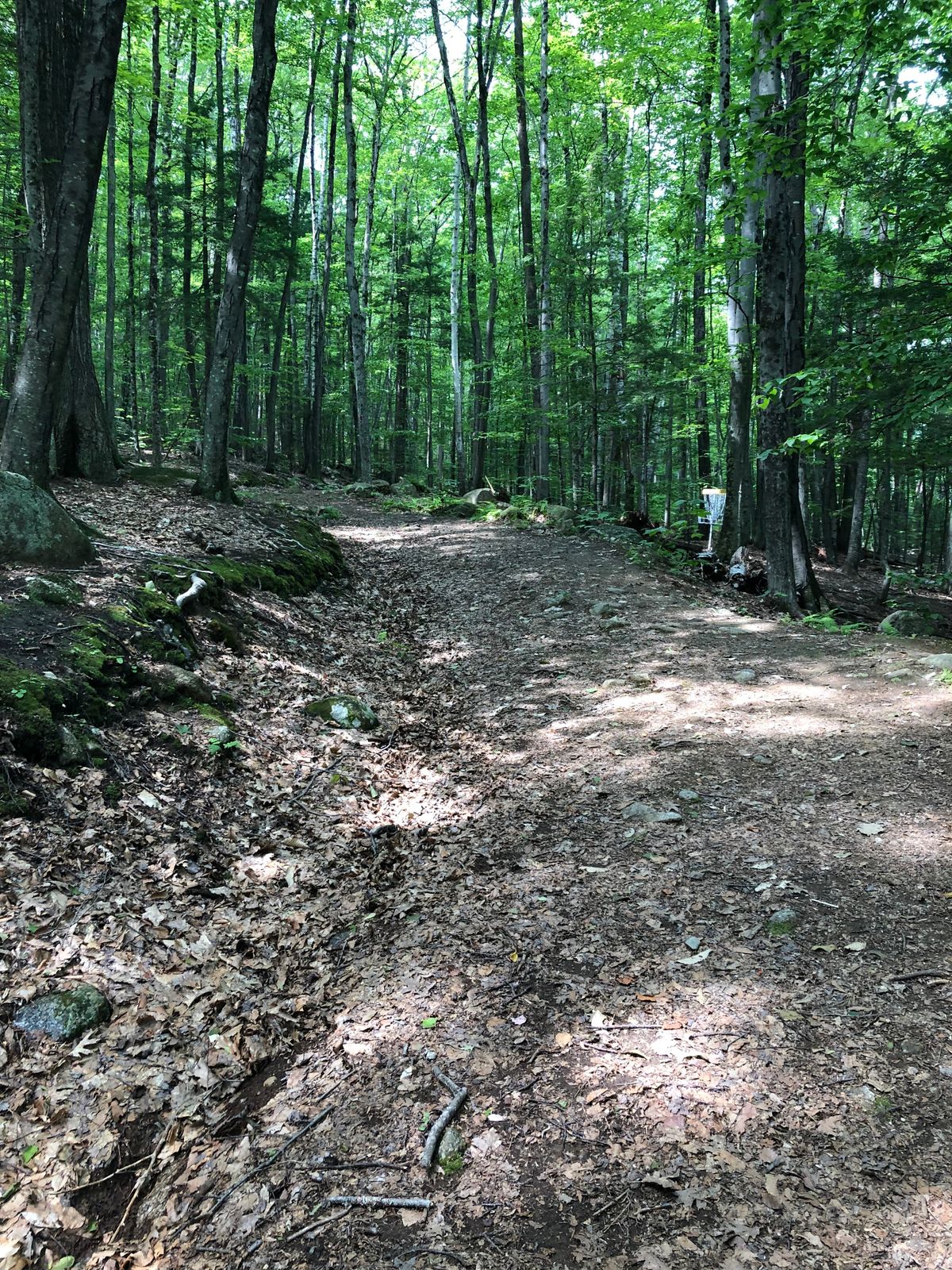 Hole 7 Fairway