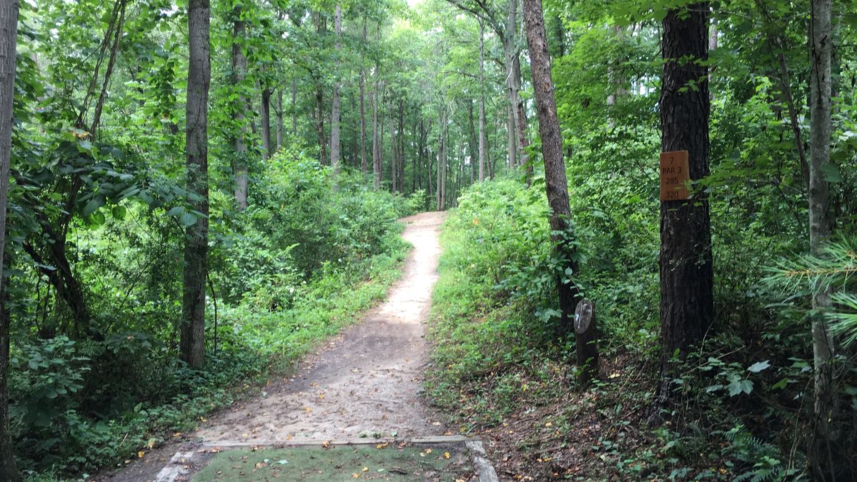Hole 7