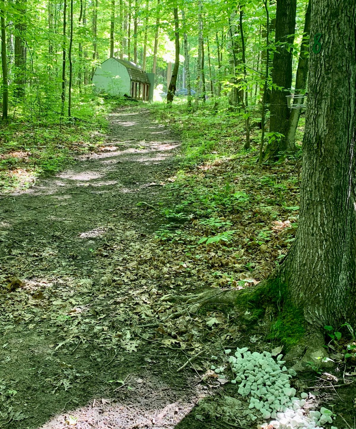 Hole 8