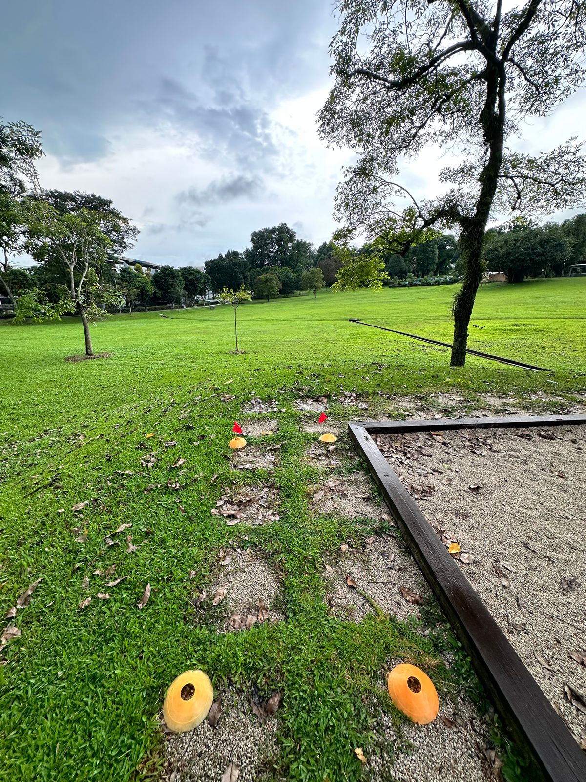 Hole 7 Teepad