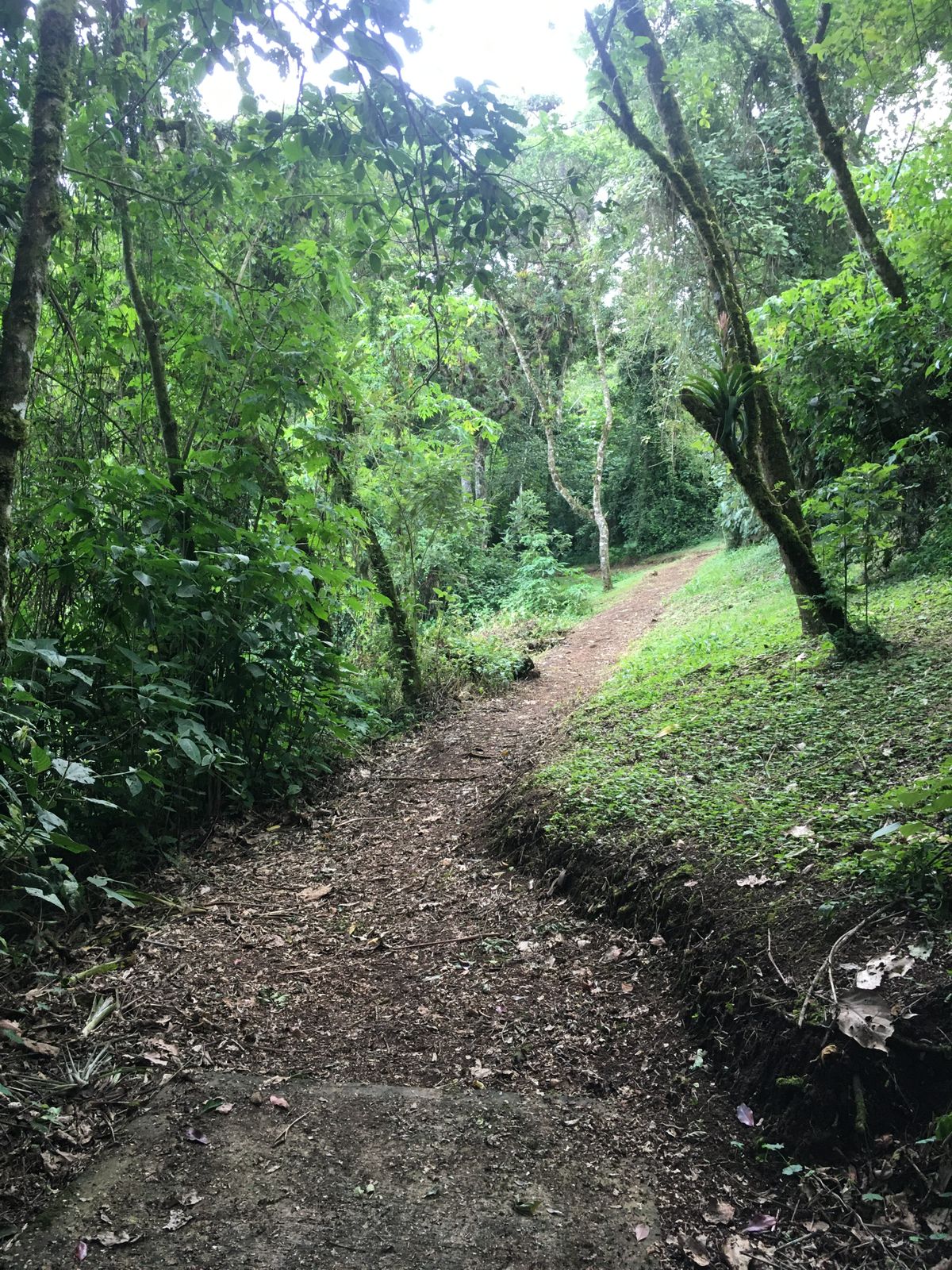 Hole 2 Long Tee
