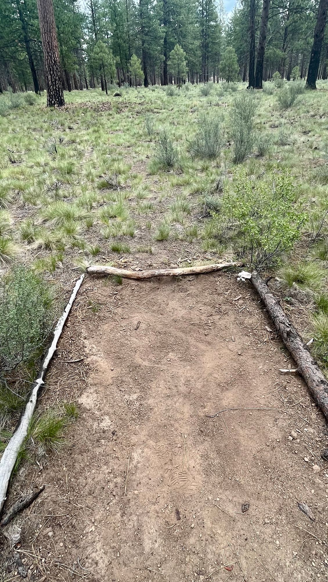 Short tee pad on hole 18