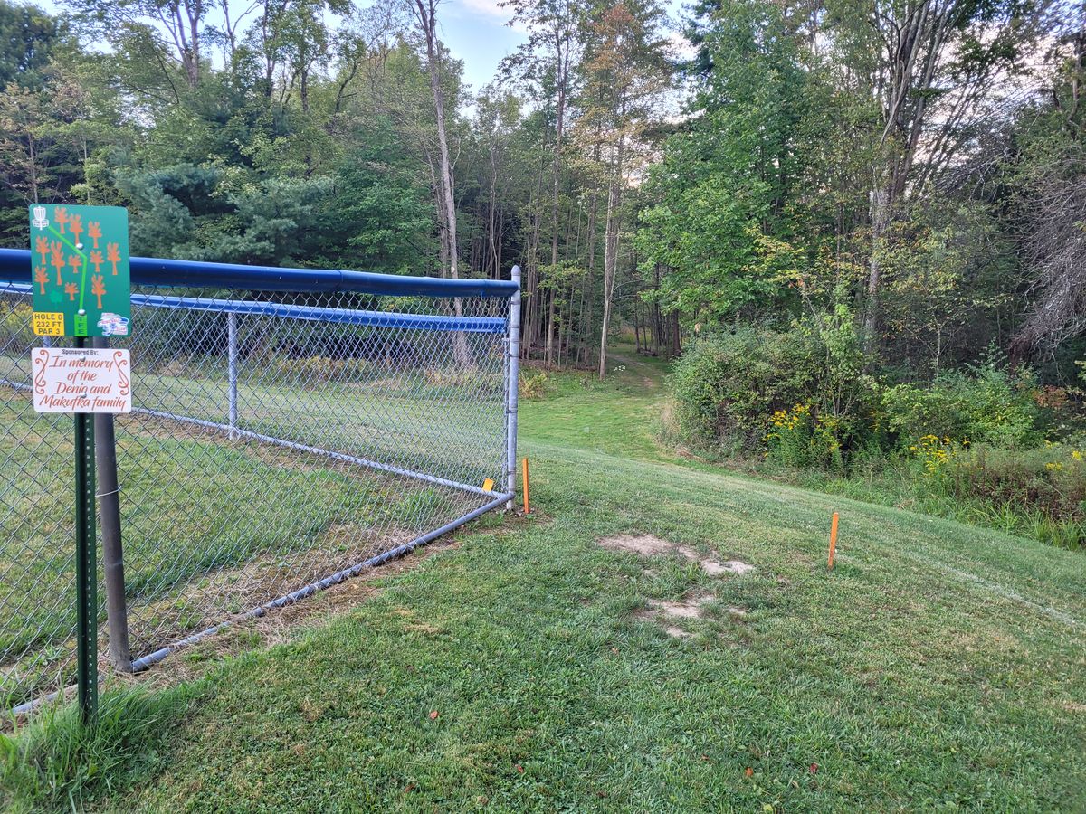 Hole 8 tee - follow the path through the woods and to the left to find the basket