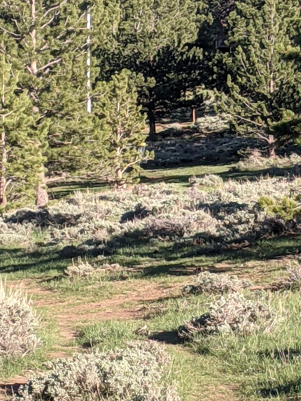 Hole 5