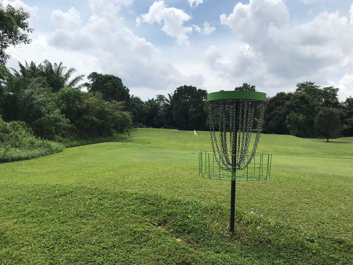 Basket of hole 1 looking back towards the tee