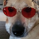 sunglassesgary