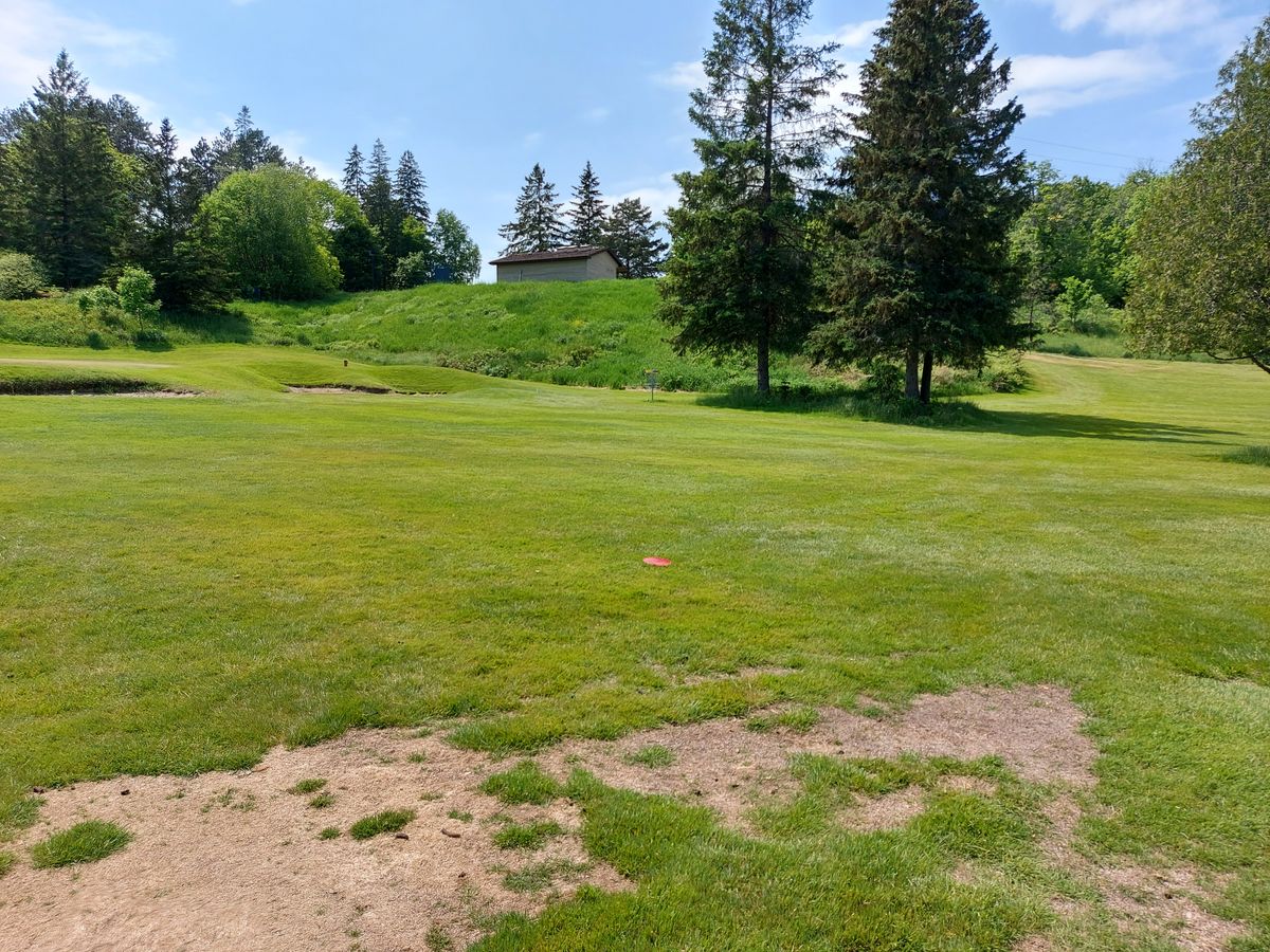 Short range approach on hole 6 🌲🌲🌲🌲