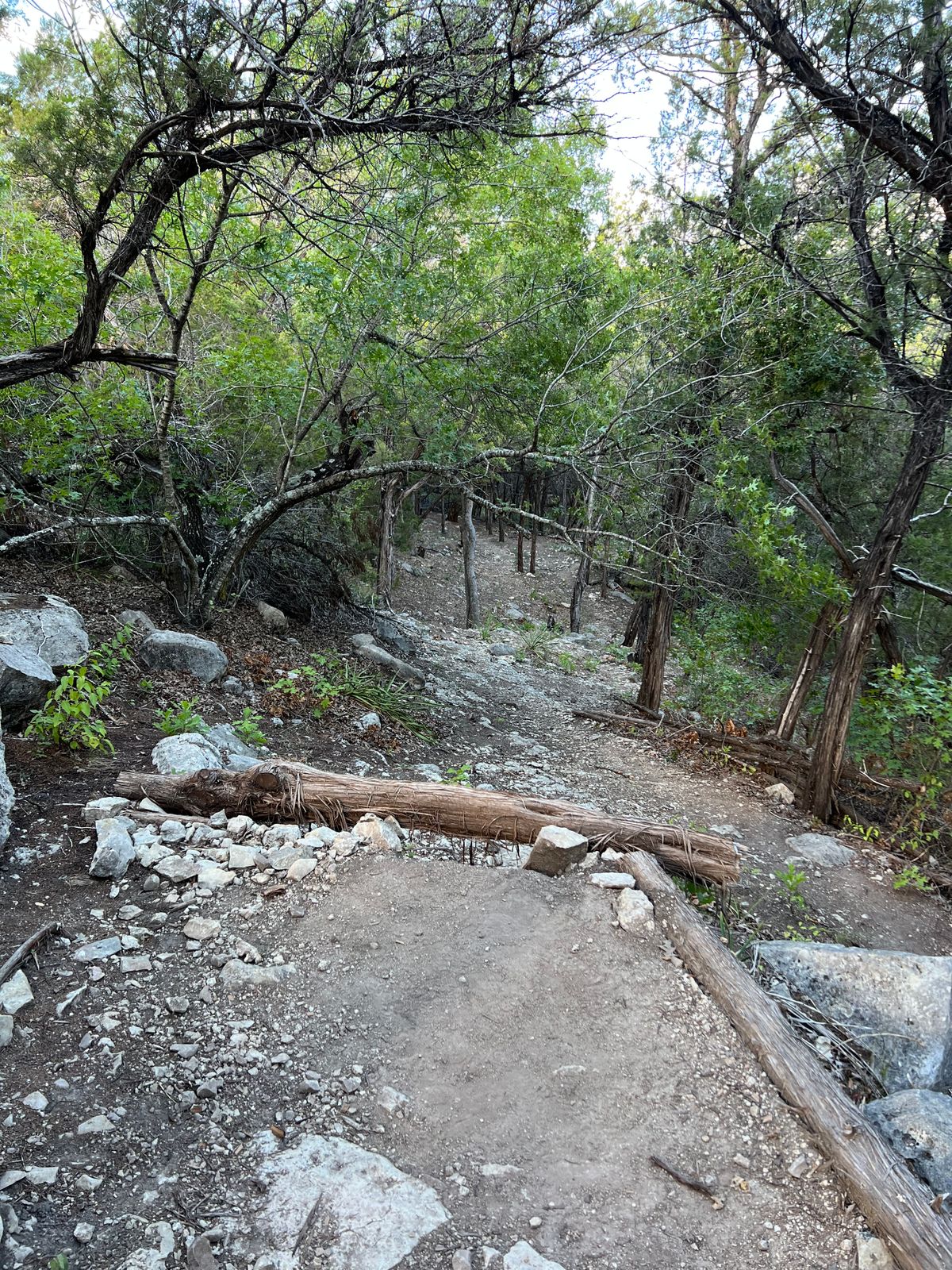 Hole #9 Main Tee