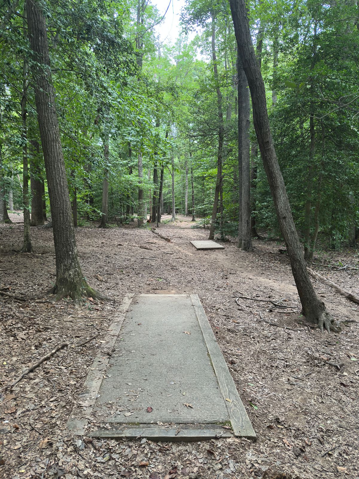 Hole 18 white tee