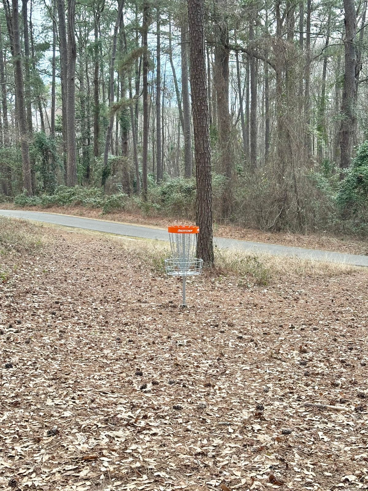 Hole 7 Basket