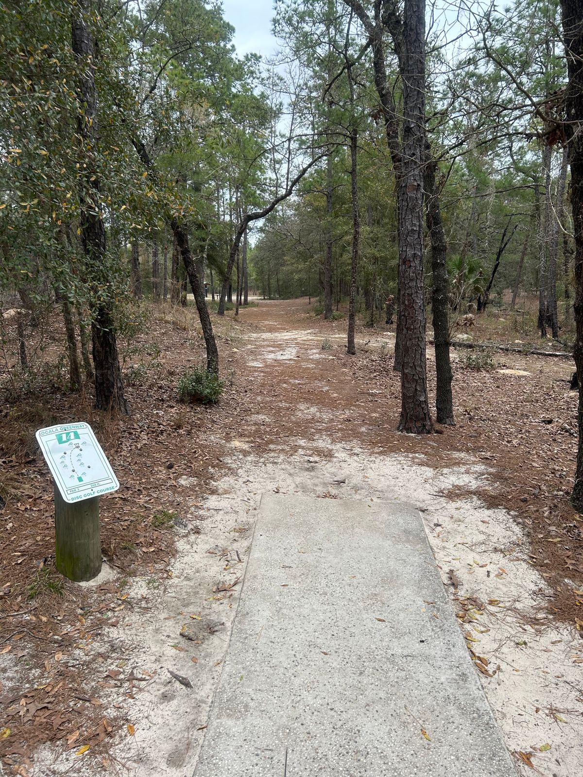 #14 Tee (only pad)