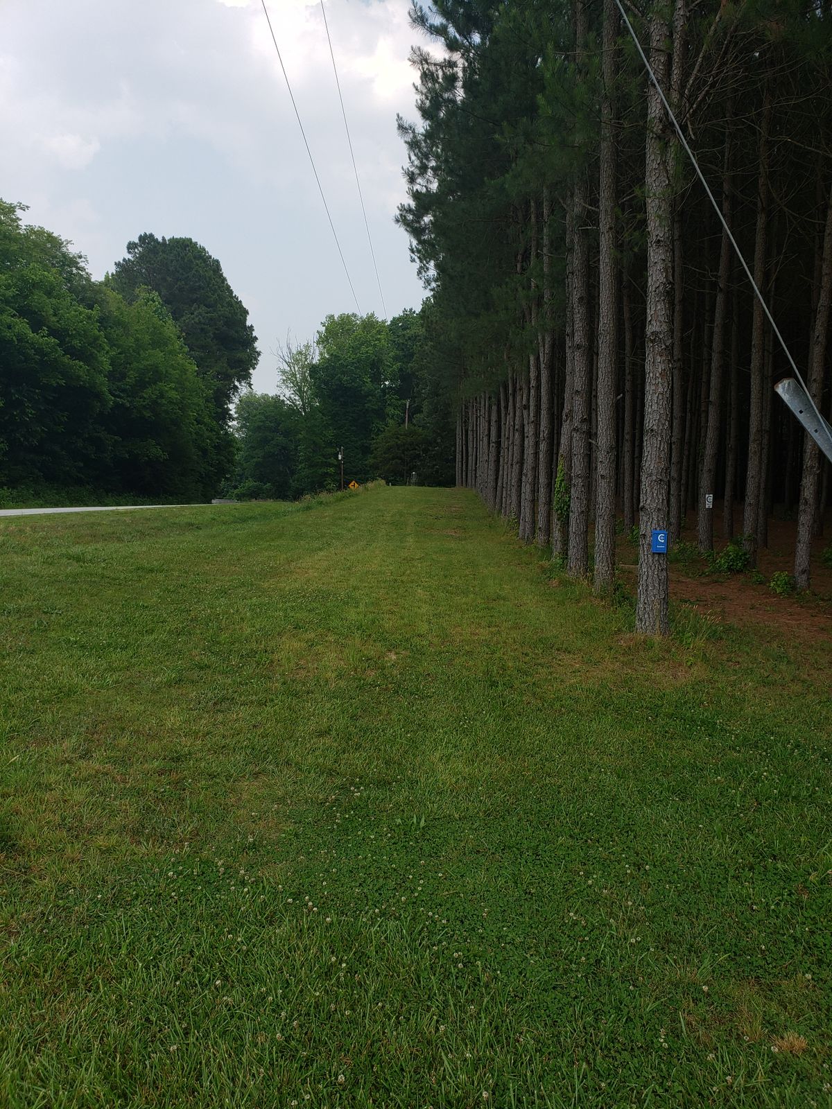 Hole 1 from tee pad. Basket is dead straight slightly up hill with road playing OB on the left side.