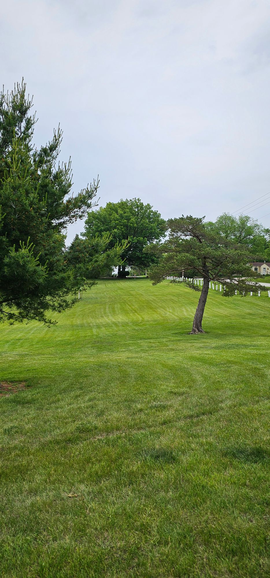 14 fairway