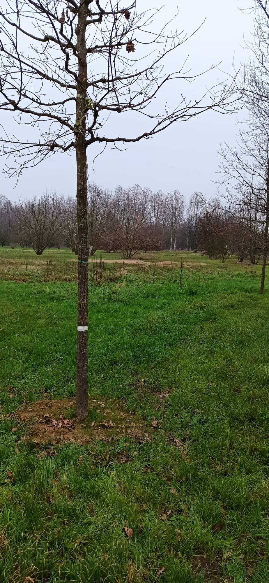 Hole 10 target