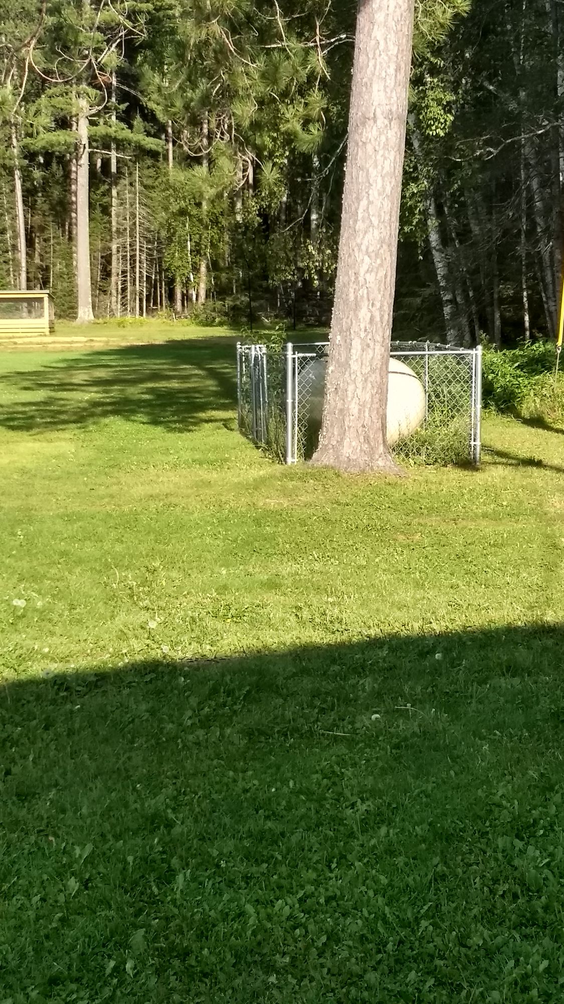 Hole 2. Elevated basket to the right