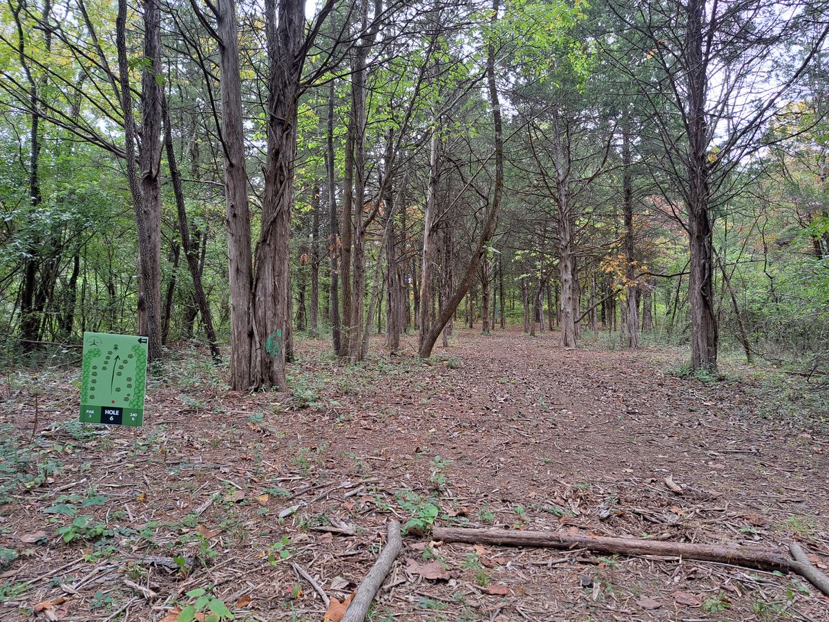 Hole 6