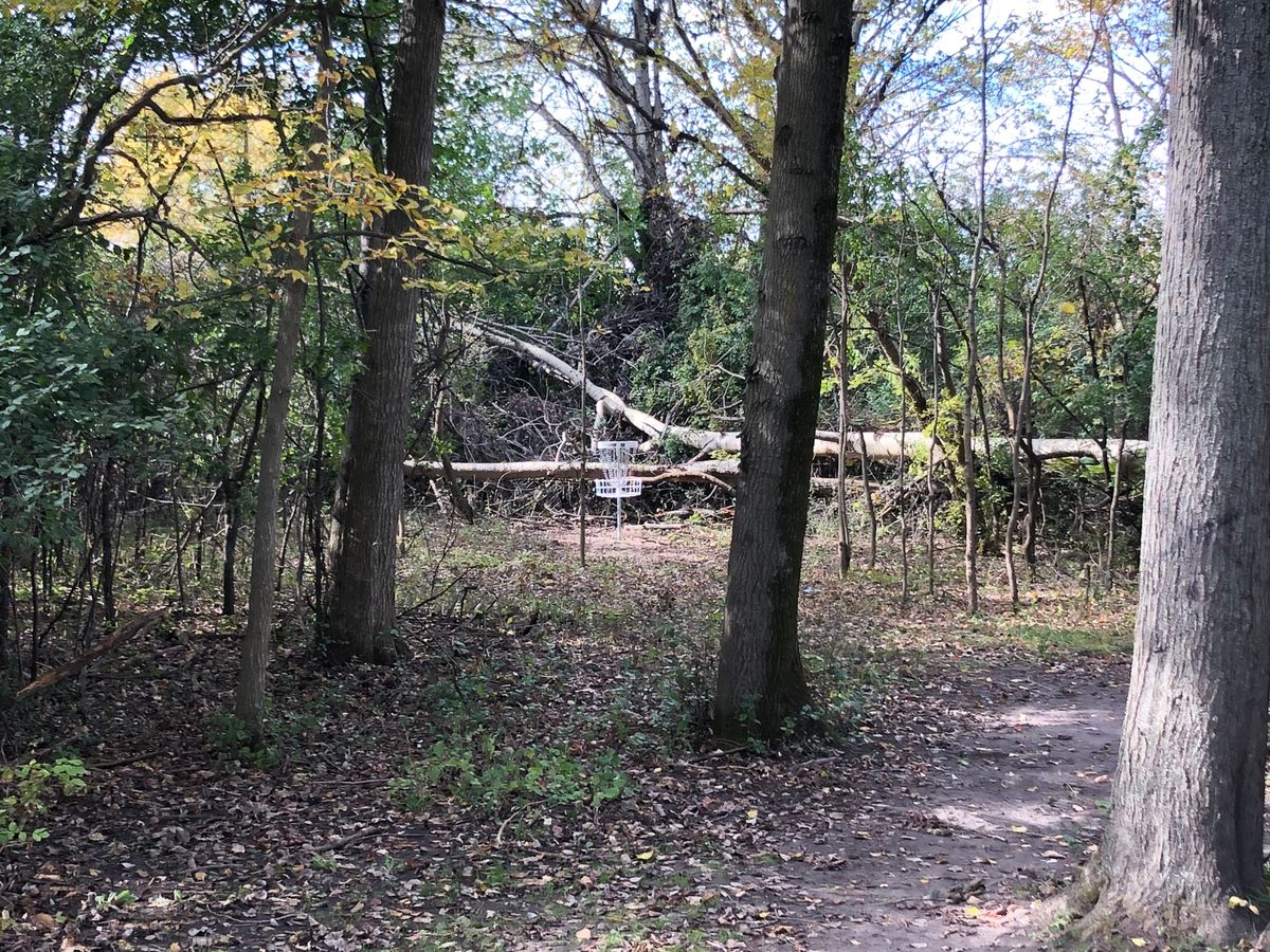Hole 9 from 100ft out