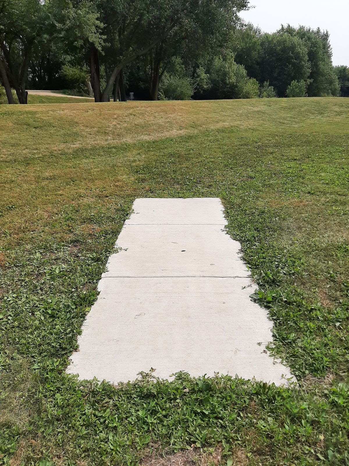 Short Pad