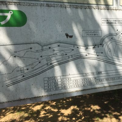 An error is seen at the end of the course map.