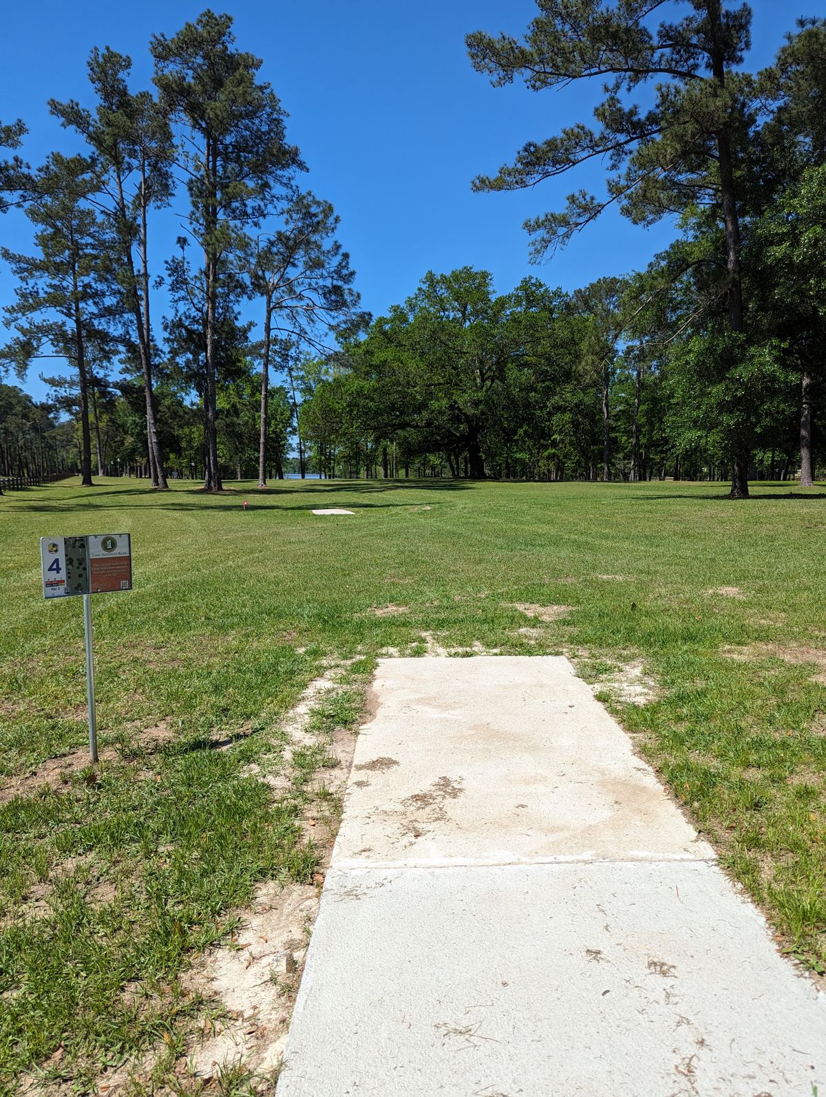 Hole 4 Blue/Veteran Pad