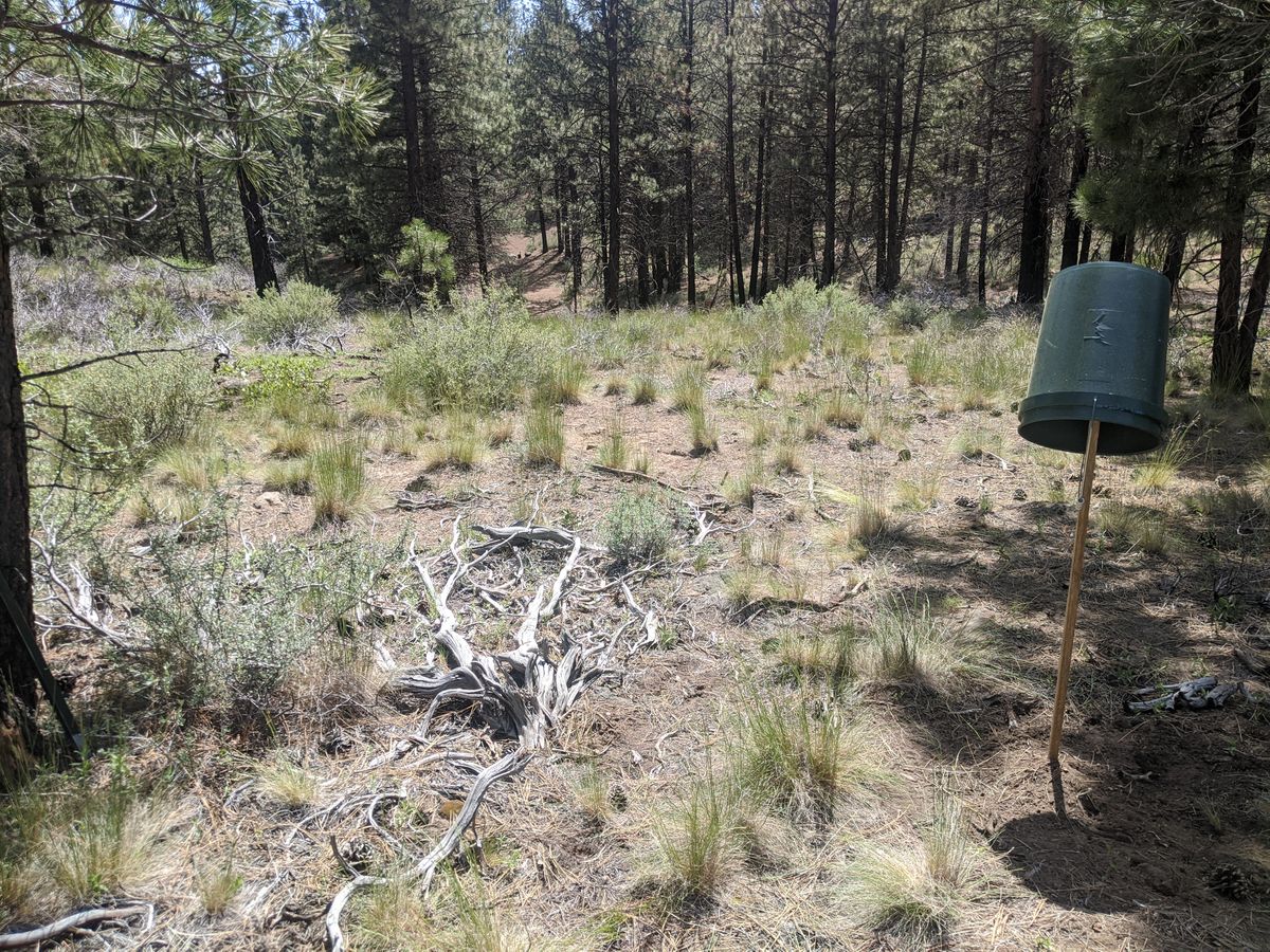 Hole 1 bucket facing tee